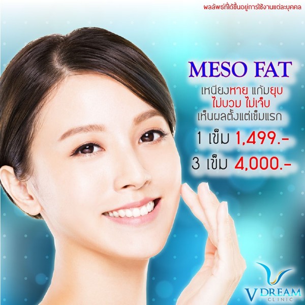 Meso Fat