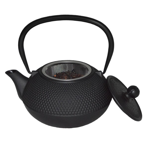 NEW CAST IRON TEA POT