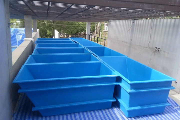FRP-rectangle-Pond-1
