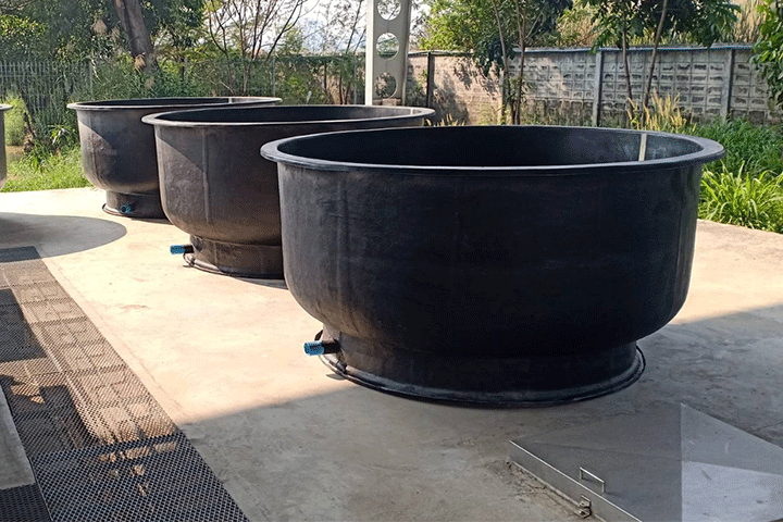 Round-Pond-6