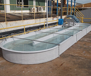 rec-tank-4