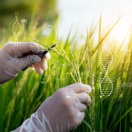 Biocontrol