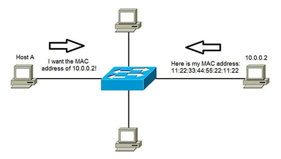 ARP-TABLE