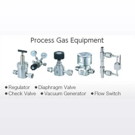 Process Gas Equipment