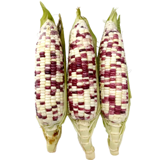 Frozen 3 Colors Corn
