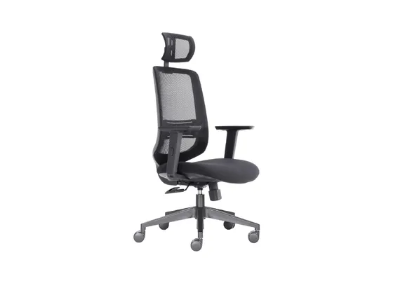 COOK Ergonomic Chair