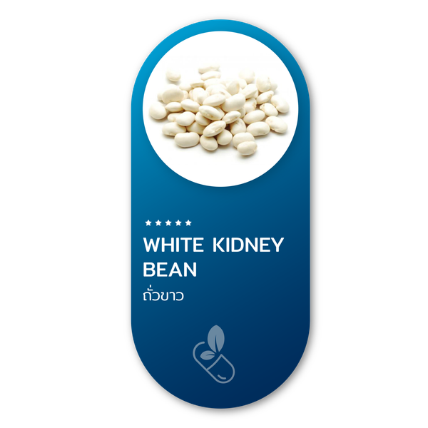 White Kidney Bean