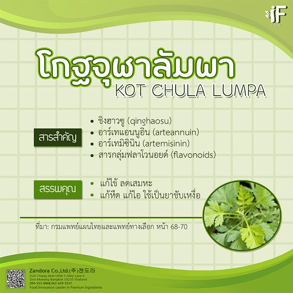 My Image 17