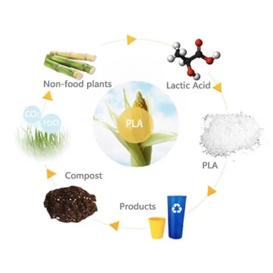 Bio Based Compound Biobased